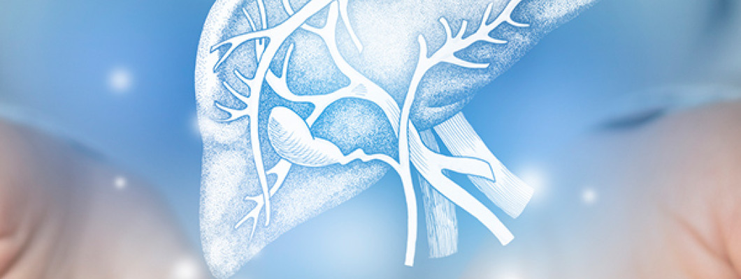 Liver Transplant