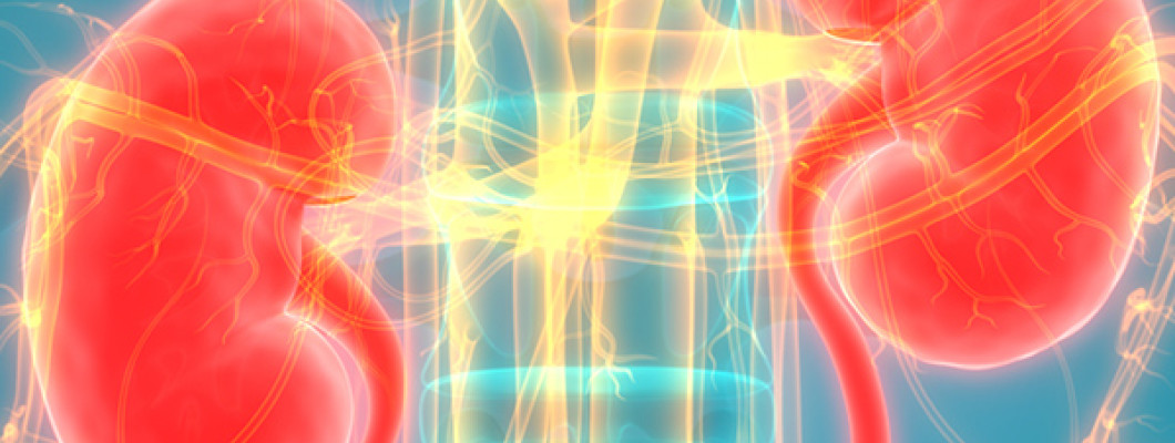 Nephrology & Kidney Transplant