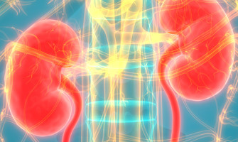 Nephrology & Kidney Transplant