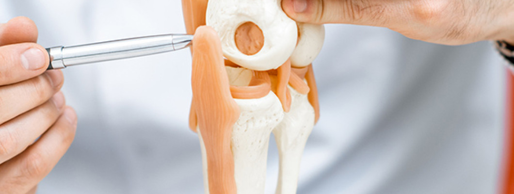 Orthopedics And Traumatology