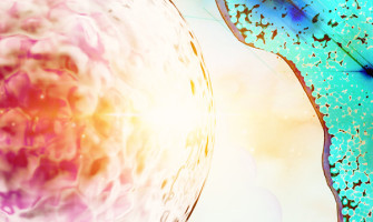 Bone Marrow Transplant