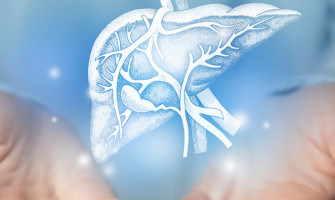 Liver Transplant