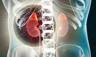 Metabolism And Endocrinology